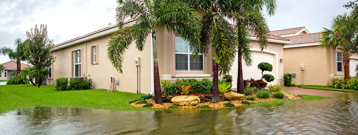 Storm & Wind Damage Restoration In Gainesville, FL